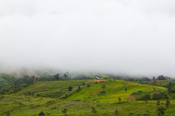 Foggy Atmosphere